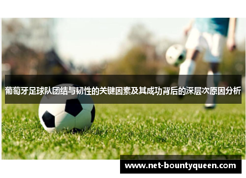 葡萄牙足球队团结与韧性的关键因素及其成功背后的深层次原因分析