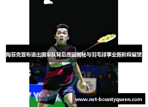 陶菲克宣布退出国家队背后原因揭秘与羽毛球事业新阶段展望